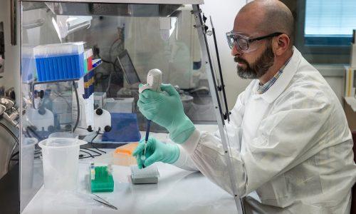 Potential Therapy Derived From Banana Protein is Effective Against SARS-CoV-2