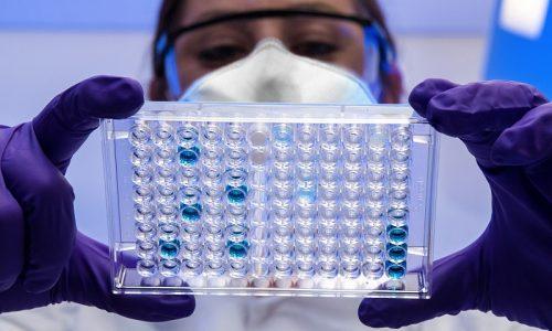 Advances in Research on Diatom Chitin Metabolism