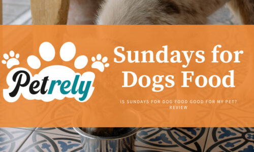 Is Sundays for Dog Food Good for My Pet? Review