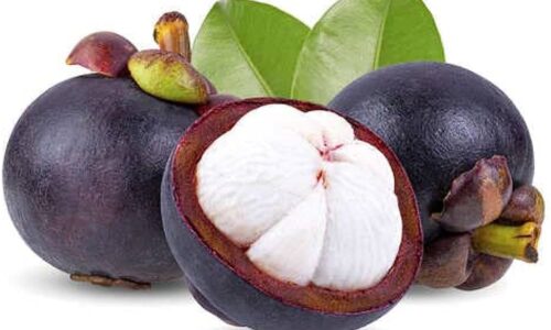 Is Mangosteen Good For Men’s Health?