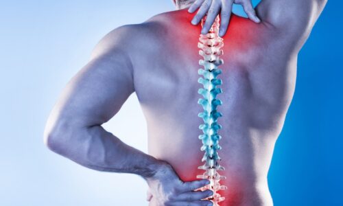 Back Pain Solutions for Everyone
