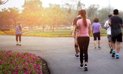 The Worth and Benefits of a Morning walk