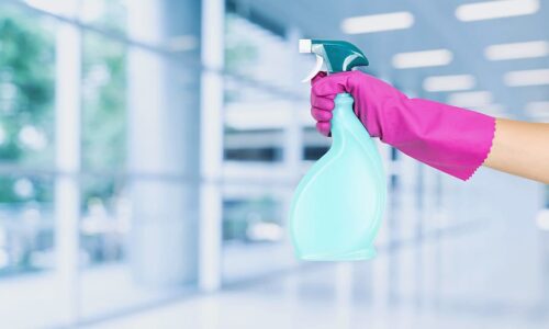 The Ultimate Guide to Mold Cleaning in Brisbane