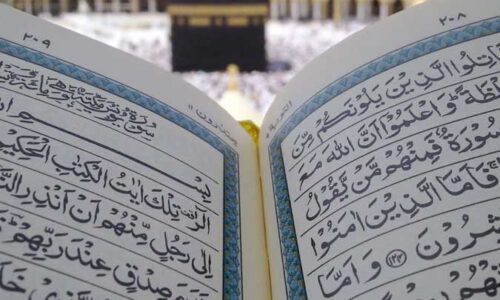 What are the prospects for the future of online Quran classes?