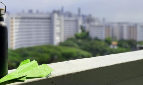 Unlocking the Essence of Corporate Gifting in Singapore: Timeless Impressions and Lasting Bonds