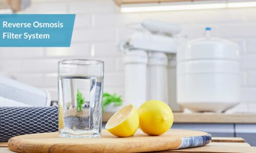 The Role of Reverse Osmosis in Water Purification