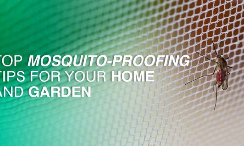 Top Mosquito-Proofing Tips for Your Home and Garden