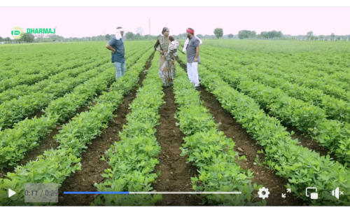 Leading Agro Chemical company in Gujarat