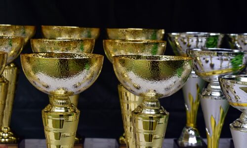 Celebrating Excellence: The World of Sports Awards