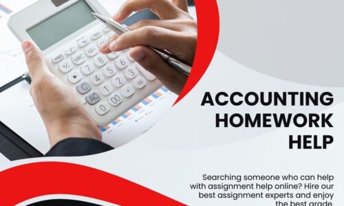 The Best Accounting Homework Help Student Could Ever Find