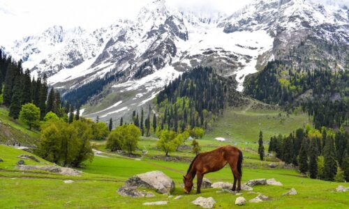 Expore the Beauty of Kashmir With Popular Packages From Different Cities