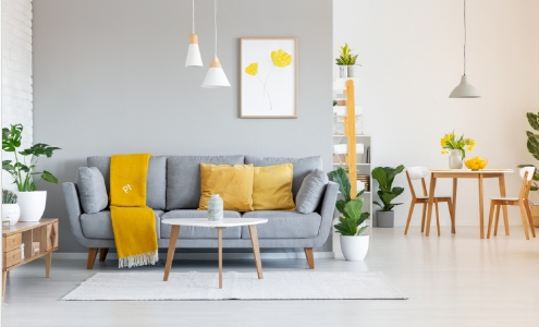 Bringing the Colors of Dubai Home: Unveiling the Expertise of Painting Contractor Dubai and Painters in Dubai